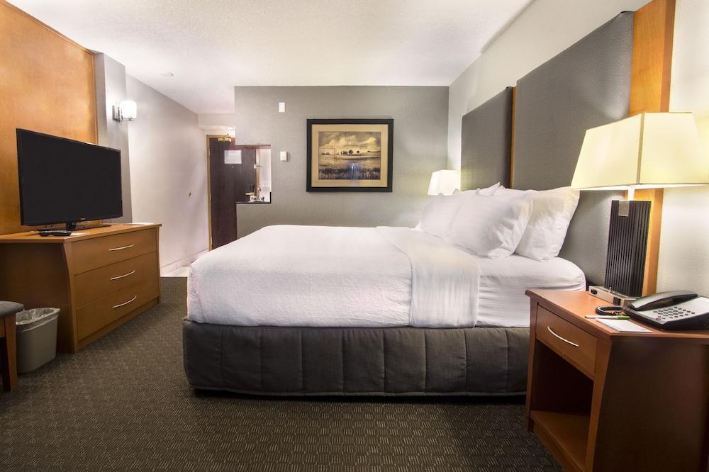 Holiday Inn Calgary Airport By Ihg Екстер'єр фото