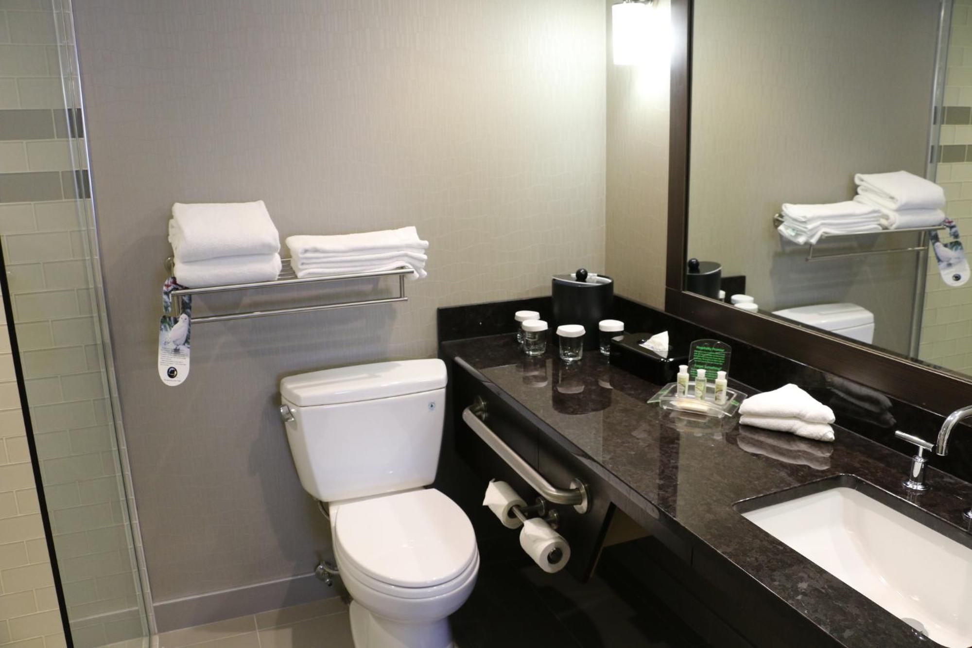 Holiday Inn Calgary Airport By Ihg Екстер'єр фото